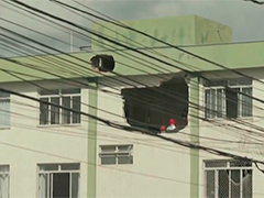 巴西小飞机撞上居民楼 机上3人死亡
