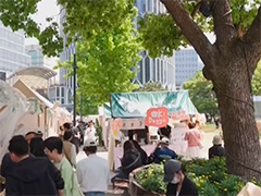上海 一朵花首次实现"全城联动"