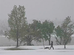 美国丹佛五月遭遇罕见暴风雪 春季变"白色冬景"