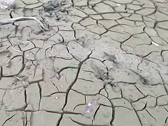 台湾南部水库蓄水量全线告急