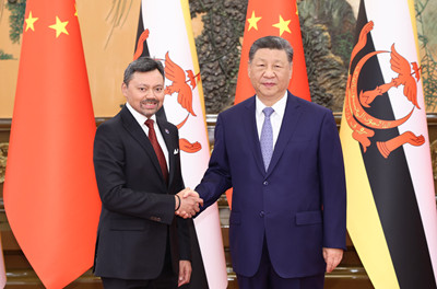 习近平会见文莱王储