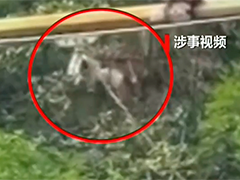 四川广安玛琉岩瀑布风景区"大摆荡"事故调查 华蓥市玛琉岩瀑布风景区已停业整顿
