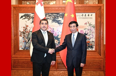 王沪宁会见格鲁吉亚议长