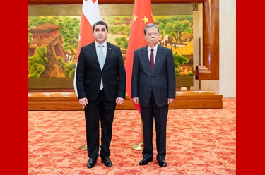 赵乐际同格鲁吉亚议长会谈