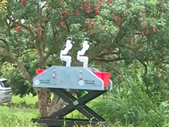 广东茂名荔枝进入集中采摘期 机器人协同采收