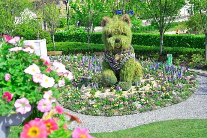 上海"潦草小狗"延迟退休 花艺融合为街区持续"保鲜"