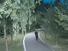 百岁老人深夜走失 警方连夜寻人