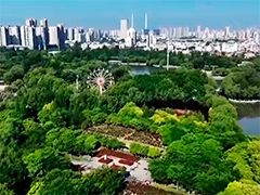 绿化带美出新颜值 公园城市尽显新风貌
