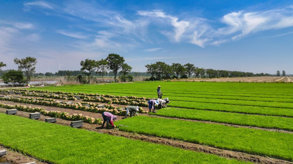 【在希望的田野上】科技赋能夏收夏种 助力粮食稳产丰收