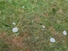 比利时遭遇猛烈冰雹天气 冰雹大如鸡蛋