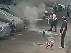 上海小区里燃油车突发自燃 物业迅速反应及时扑灭