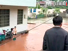湖南凤凰逐户排查 紧急清障 全力开展防汛工作