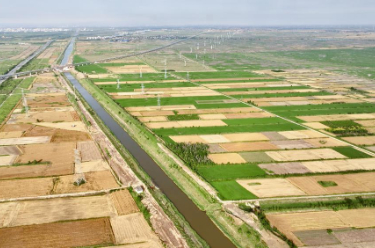 全国小麦收获进度过六成