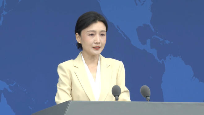国务院台办 民进党在小熊猫身上做政治文章 荒唐可笑