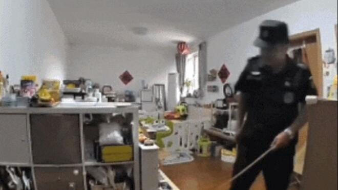 20多道抓痕的追问 流浪猫进屋伤人 物业该担责吗?