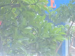 江南华南强降雨持续 河南陕西等地高温连连