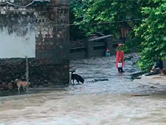 江西浮梁暴雨夜河水猛涨 镇村干部上门帮扶受灾群众