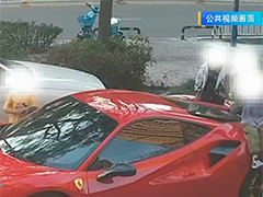 跑车被孩童踩踏刮伤 维修费近三万
