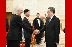 丁薛祥接见国际科技合作奖获奖外国专家