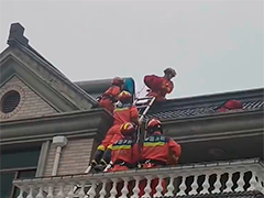 防御台风"巴威"上海消防接处警情472起