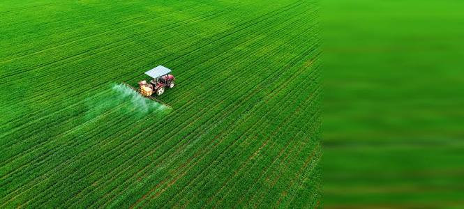 【新思想引领新征程】严守耕地红线 筑牢国家粮食安全根基