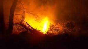 高温天气持续 英国多地山火肆虐