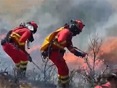 西班牙 多地山火肆虐 两自治区相继启动二级响应