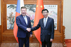 王沪宁会见捷克众议长