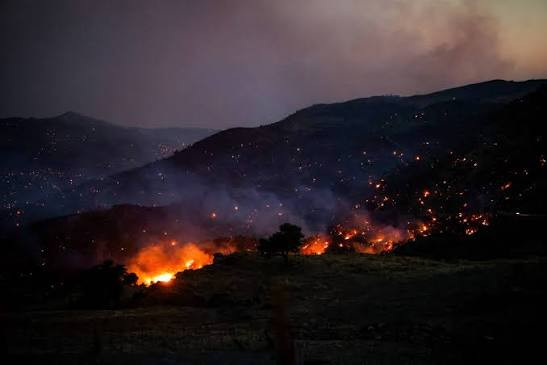 希腊多地爆发野火 两名消防员殉职