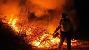美国华盛顿州东部山火已烧毁600处建筑