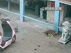 天津 花盆从天而降险酿祸 警方依法处置