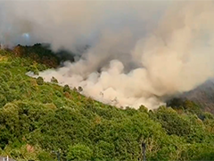 英国极端高温干旱致山火频发 南威尔士山火逼近民居