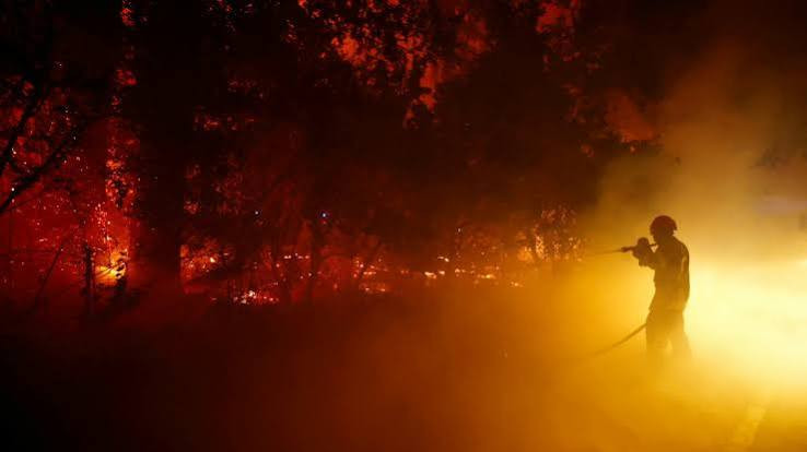 西班牙西部山火迅速蔓延 已致数百人撤离