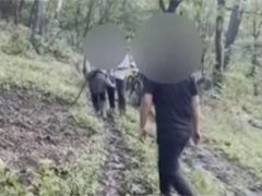 吉林蛟河 两少年深山骑行失联 多方彻夜搜救寻回