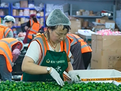 超大市场 超多机遇 中国"果篮" 汇聚世界风味