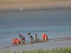 上海浦东 两人赶海被困滩涂 消防紧急救援