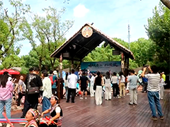 上海旅游节经典活动季 游上海正当时 景点周末人气旺