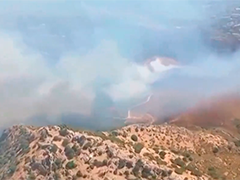 西班牙度假胜地突发山火 致数人受伤