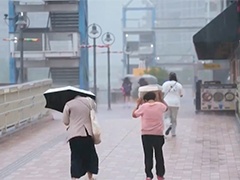 东京中心地区连续降雨33天 或将打破纪录