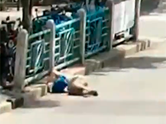 上海普陀 九旬老人摔倒路边脑出血 民警坚持送医