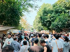 杭州"最香"一条路火了!满觉陇赏桂成秋日顶流